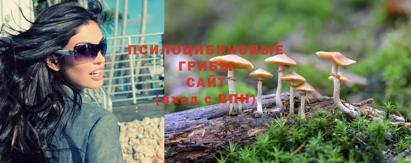 дарк нет клад  как найти наркотики  Нягань  Галлюциногенные грибы Psilocybine cubensis 